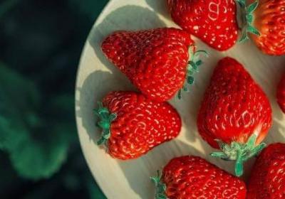草莓一年四季都有嗎