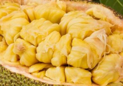 菠蘿蜜怎么吃才好吃