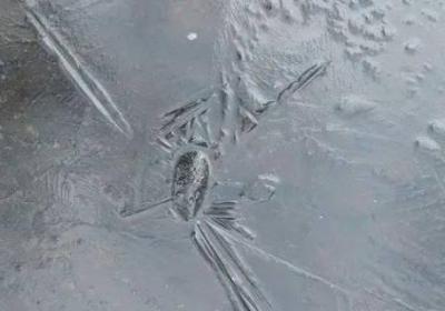 室內(nèi)不取暖多少度結(jié)冰