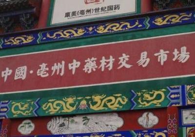 四大藥都是什么地方