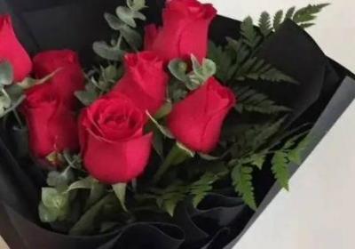 送6朵玫瑰花是什么意思