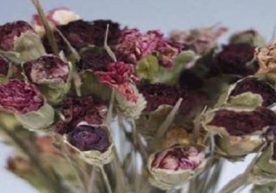 鮮花干花要倒掛幾天