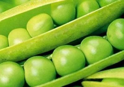 生的豌豆可以冷凍多久