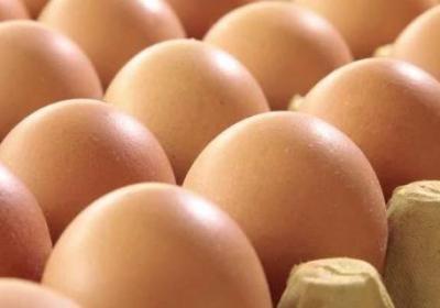 豎雞蛋是生的還是熟的