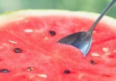 西瓜是植物類嗎