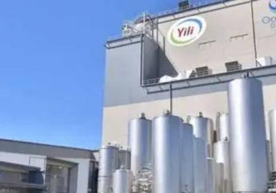 伊利屬于哪個集團