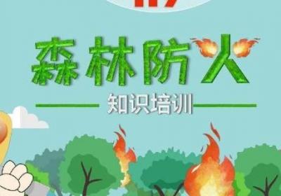 森林防火的重要內(nèi)容是什么