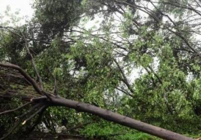 當風力等級較大時我們要什么