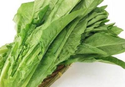 不是綠通的蔬菜有哪些