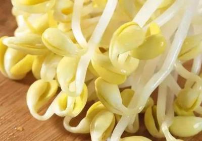 家常醒酒湯的做法圖解，為什么要用豆芽，豆芽湯解酒的原理