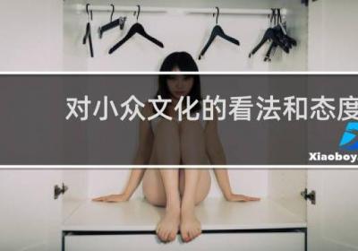 對小眾文化的看法和態度