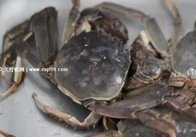 螃蟹怎么養才能活得長久一些，三種方法讓螃蟹5天還鮮活(毛巾冷藏)