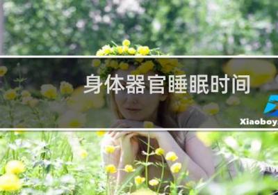 身體器官睡眠時間