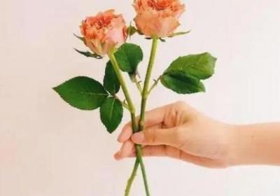 2023最新干凈短句暖心8字，適合祝福朋友和長輩的溫暖走心句子