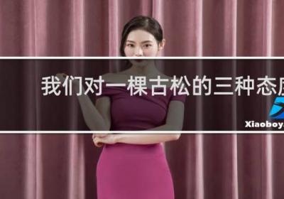 我們對一棵古松的三種態度