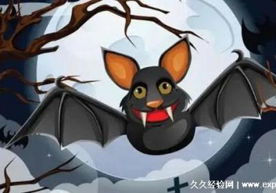 蝙蝠飛到家里是什么預兆，其實是福運進屋(也有可能是蚊蟲太多)