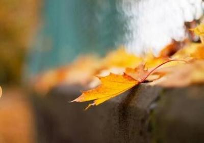 ?熱愛祖國的簡短句子，愛黨愛國的經典句子