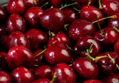 車厘子血糖高能吃嗎