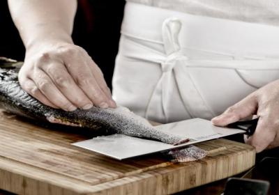 ?鳙魚和鰱魚的區(qū)別