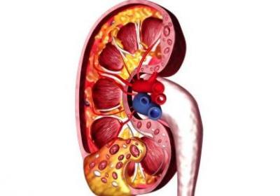 吃什么補腎虛 黑色食物效果佳