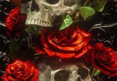 ?每日無水印壁紙第256期：炫酷骷髏頭藝術設計手機壁紙