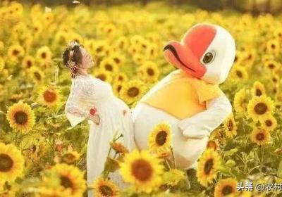 ?分享圖片——氣質女神馬麗，精美寫真照