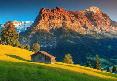 ?銆婐焽焽帰縐樼憺澹鎯咃細鍒濊Grindelwald鏉戝簞銆?p>