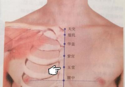 ?每日一穴-玉堂穴