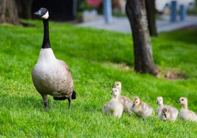 旅游該買哪些保險(xiǎn)比較好 旅游出行保險(xiǎn)怎么理賠