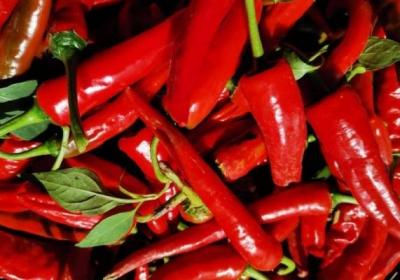 胃不好的人不能吃什么